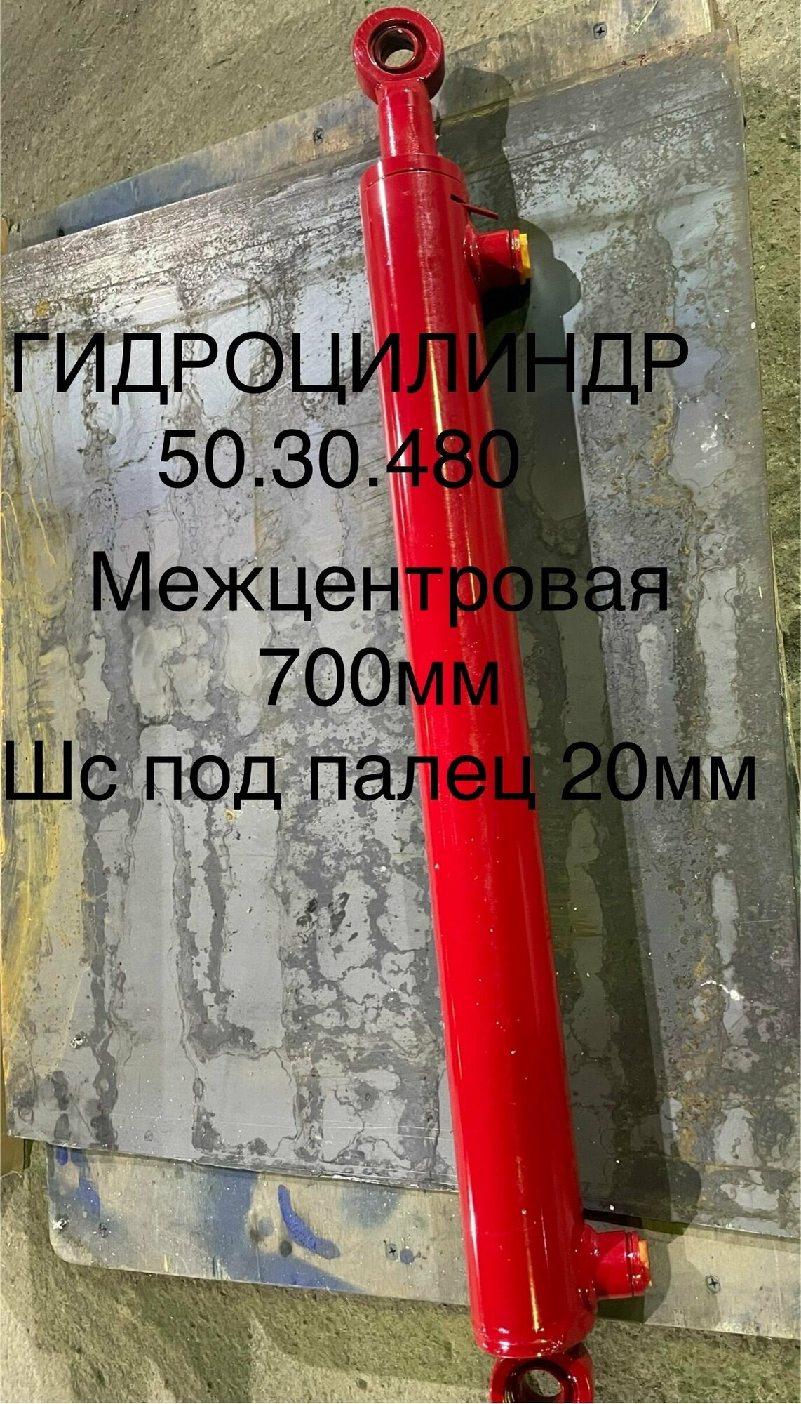 Гидроцилиндр ГЦ 50.30.480 - Гидравлика-Сервис