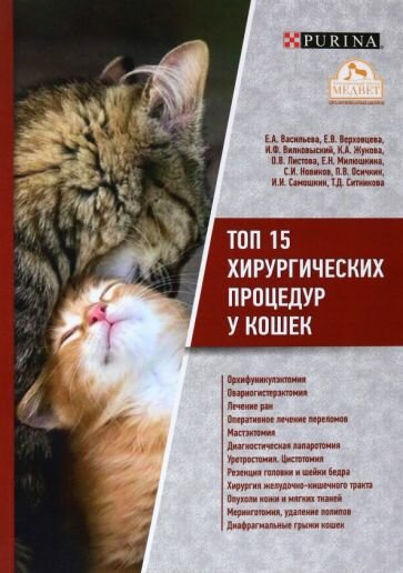 Топ 15 хирургических процедур у кошек - фото №1