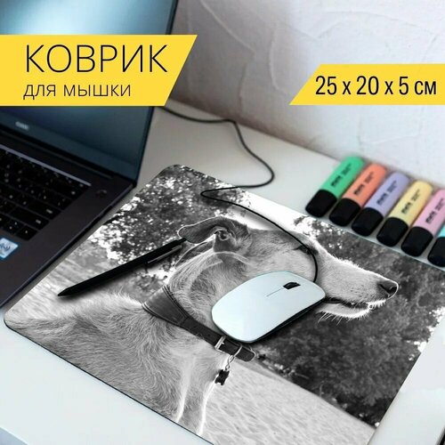 Коврик для мыши с принтом Собака, животное, борзая 25x20см.