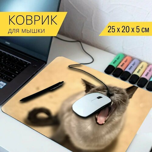 Коврик для мыши с принтом Животное, кот, дикая природа 25x20см.