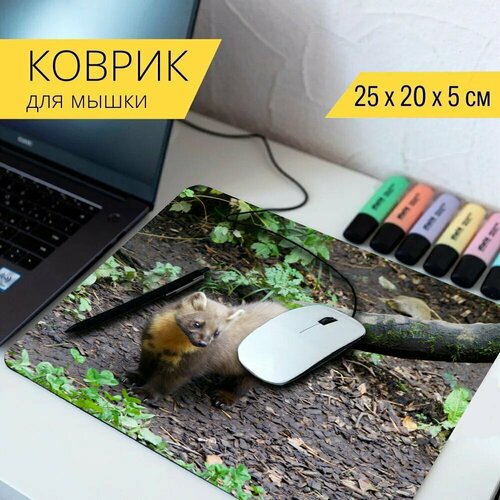 Коврик для мыши с принтом Природа, животные, куница 25x20см. коврик для мыши с принтом цветная куница куница хищники 25x20см