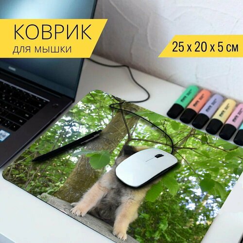 Коврик для мыши с принтом Собака, молодая собака, щенок eurasier 25x20см. коврик для мыши с принтом щенок молодая собака щенок 25x20см