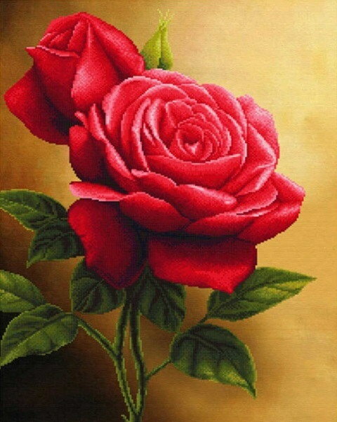 Красная роза. Роспись по холсту(картина по номерам 40*50см)
