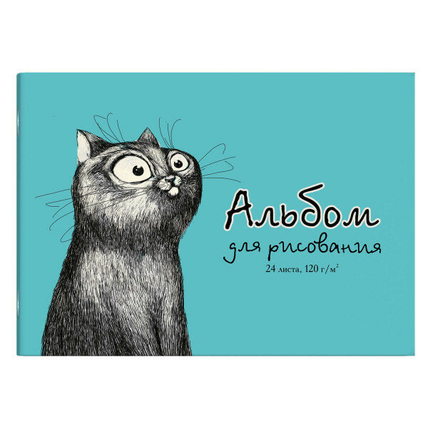 Альбом для рисования "СМЕШНОЙ КОТ", 24 листа (57217) Феникс+ - фото №1