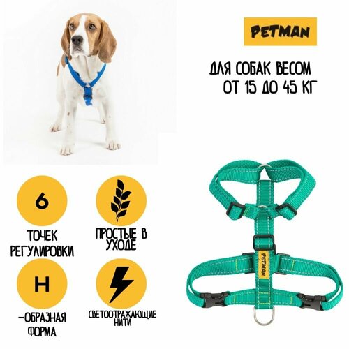 Регулируемая светоотражающая шлейка для собак до 40 кг 25 мм