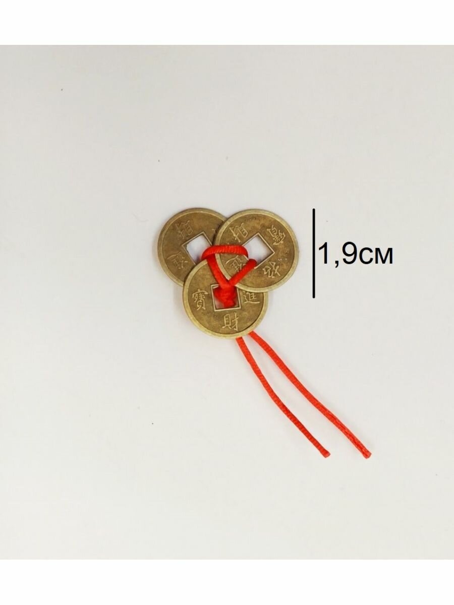 фото Монета сувенирная китайская феш-шуй