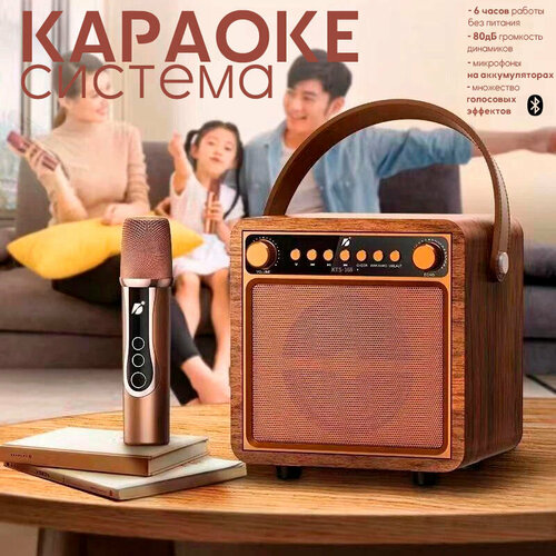 Караоке система Акустическая система караоке с функцией Bluetooth и USB разъемом Переносная колонка 399000₽
