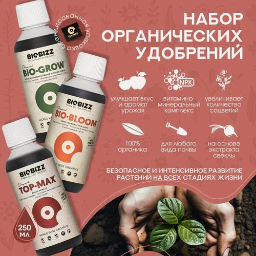 Изображение товара Удобрения для домашних растений BioBizz Indoor Pack (Bio-Grow, Bio-Bloom, Top-Max) 250 мл.