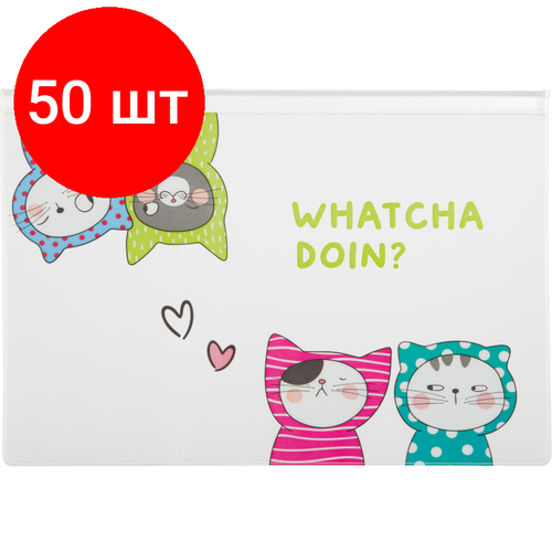 Комплект 50 штук, Папка-конверт на молнии M&G So Many Cats, A5, 0.18 мм, в асс ADM929FP