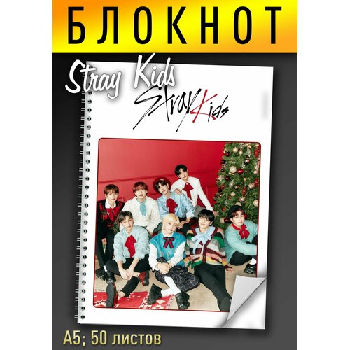 Stray Kids Блокнот А5 на пружине