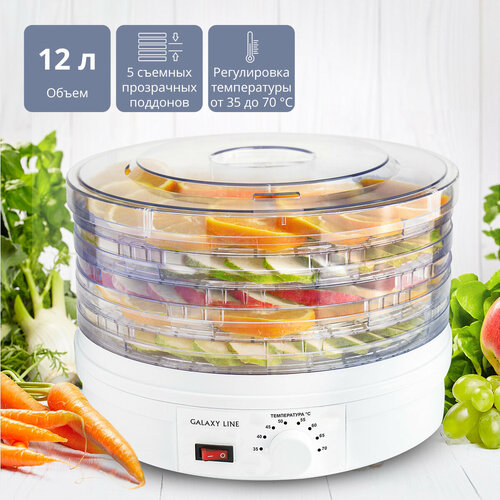 Электросушилка для овощей и фруктов GALAXY LINE GL2633 403000₽