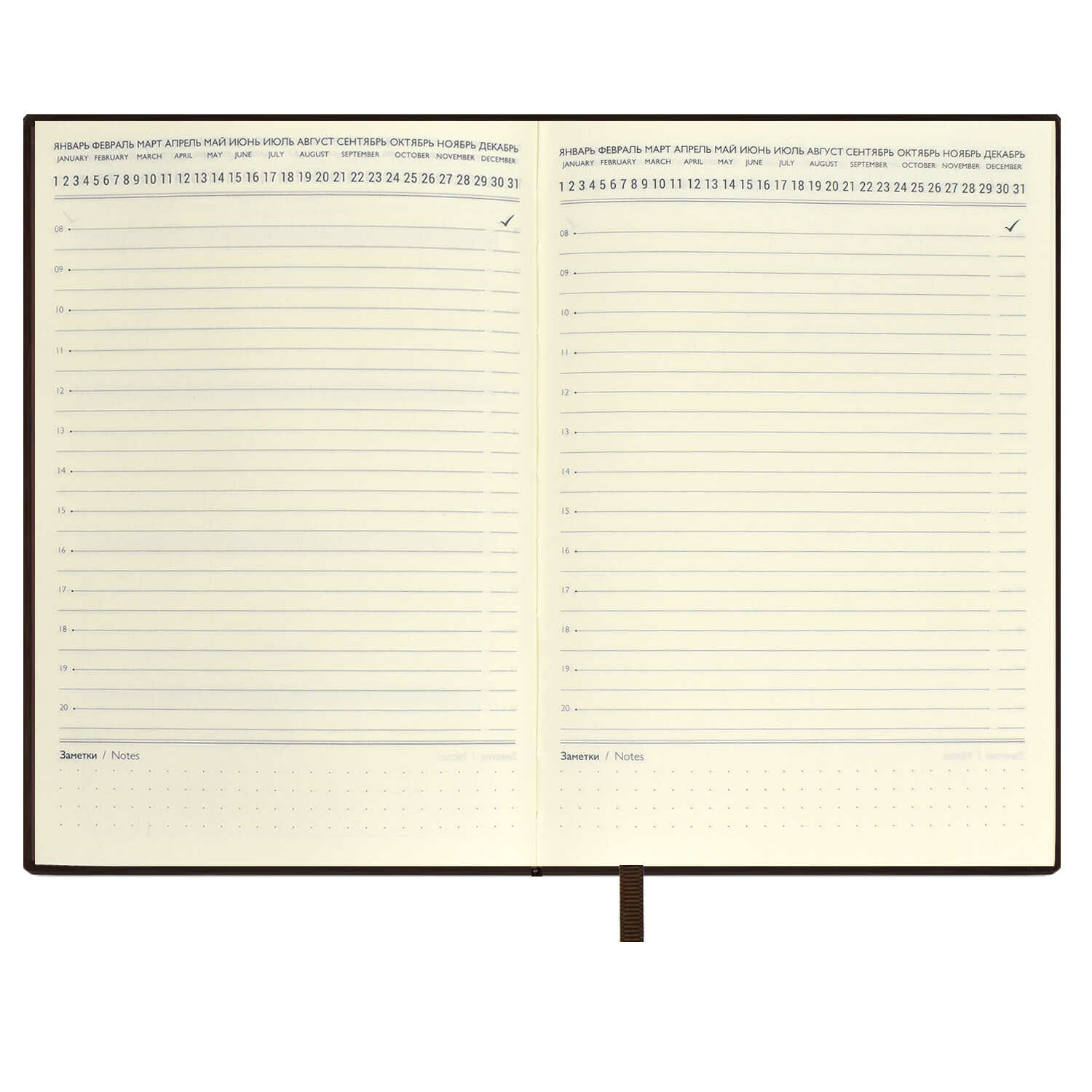 Ежедневник-органайзер недатированный Тиволи, коричневый, А5+, 160 листов Феникс+ - фото №4