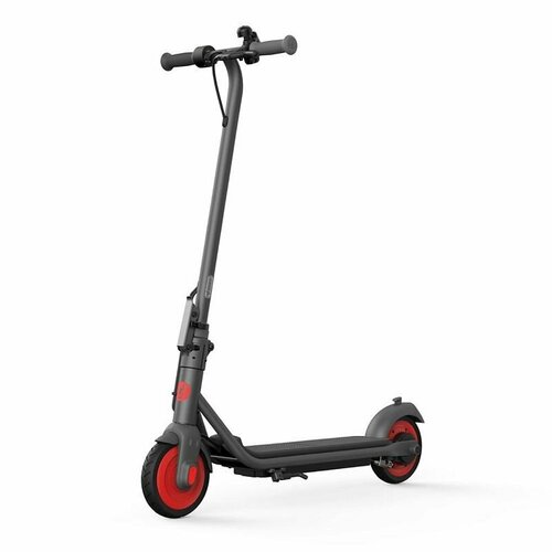 Электросамокат Ninebot Kickscooter C20