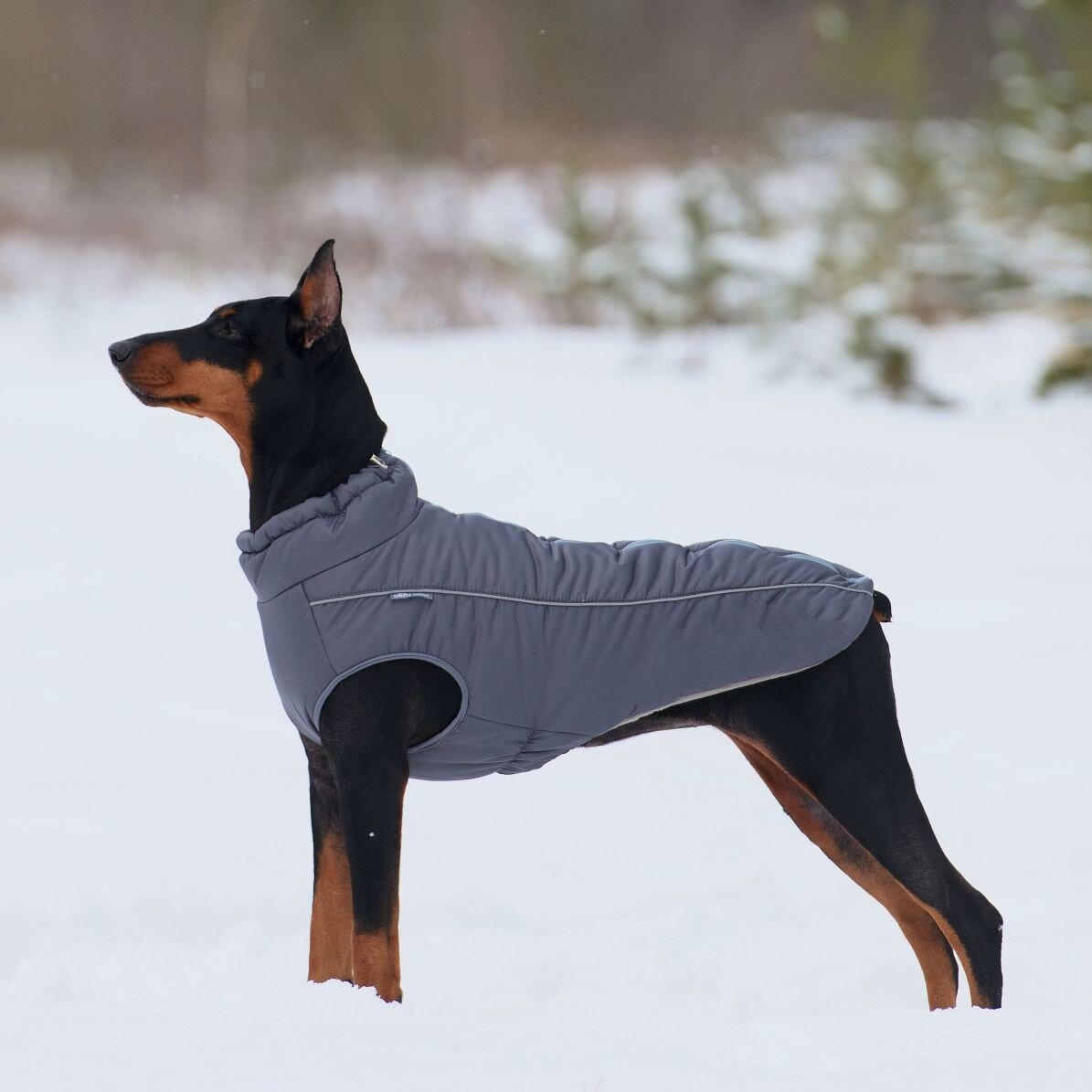Жилет зимний для собак Osso-fashion Аляска р.45-2 (темно-серый)