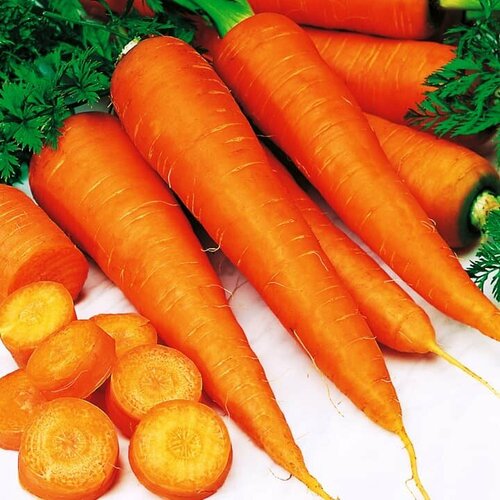 Морковь Зимний Цукат (семена). Гавриш. морковь зимний цукат 2 0г гавриш от автора 3 уп