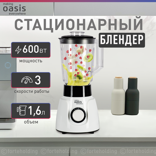 Блендер OASIS ST-60W стационарный белый 307000₽