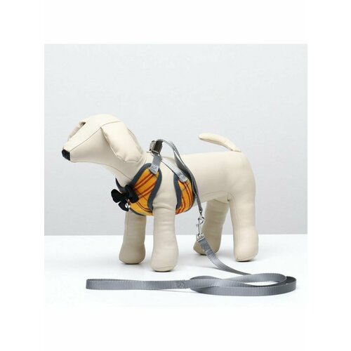 Комплект амуниции с мягкой шлейкой, M ОШ 28-48, ОГ 32-52 см