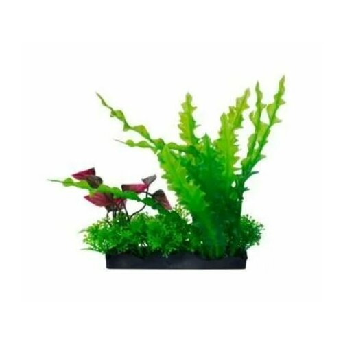 Homefish Растение для аквариума пластиковое Асплениум и людвигия, с грузом, 17 см