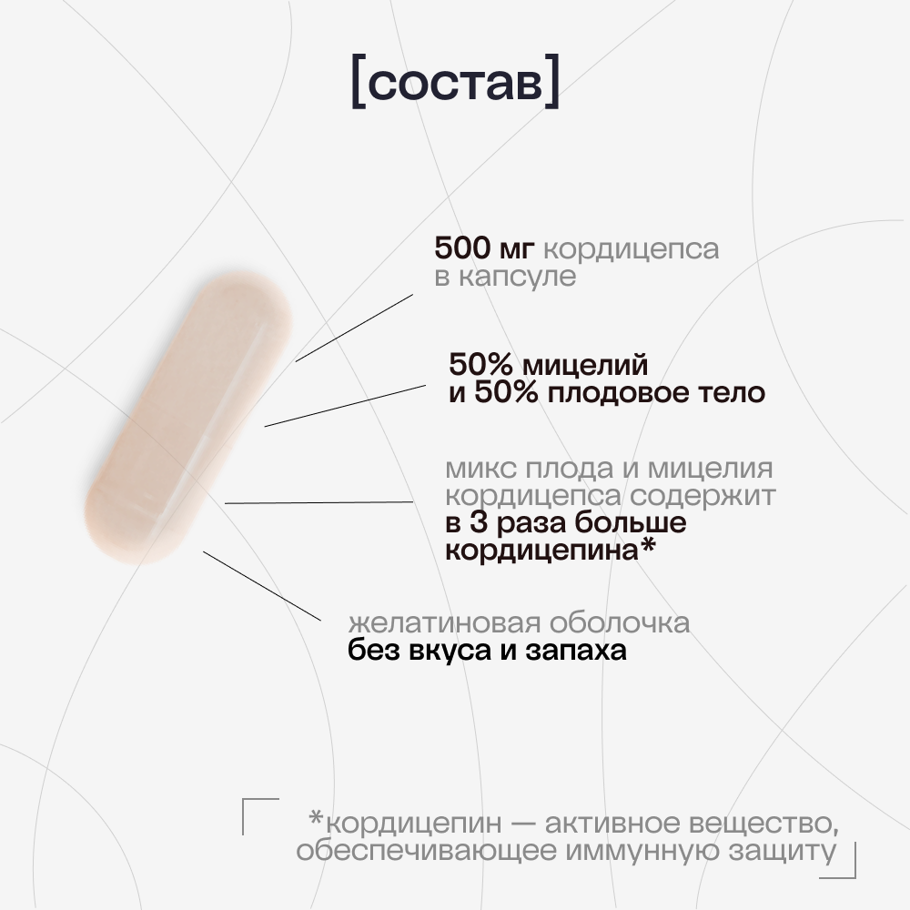 Кордицепс милитарис, cordyceps militaris, суперфуд для иммунитета и либидо, 90 капсул