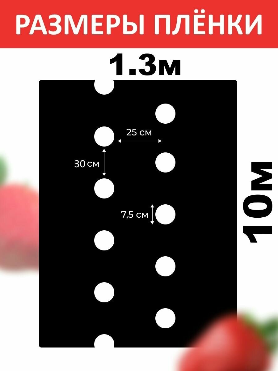 Плёнка для клубники мульчирующая черно-белая 60мкм - фотография № 2