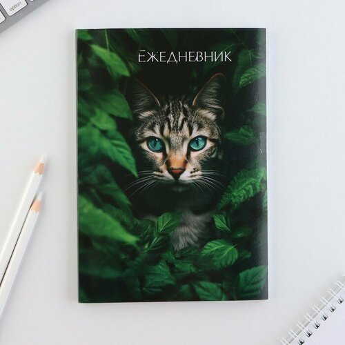 ArtFox Ежедневник в тонкой обложке А5, 72 листа «Кот»