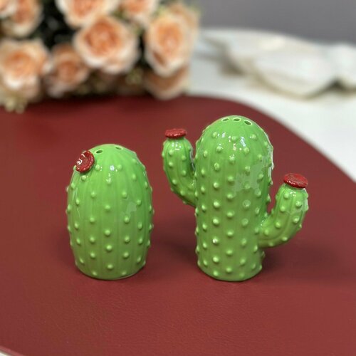Набор для специй Кактусы 7*4см, 8*8см зеленый (керамика) ТОиТО