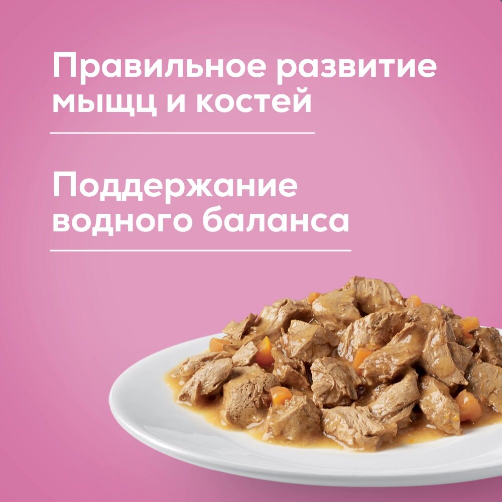 Влажный корм PURINA ONE® для котят с курицей и морковью 75 г x 26 шт — фото 1