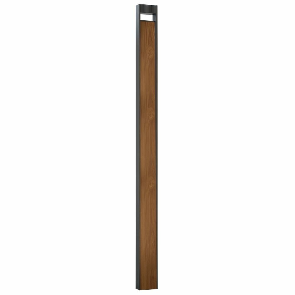 Ландшафтный светильник Arte Lamp Arneb A2140PA-1BR