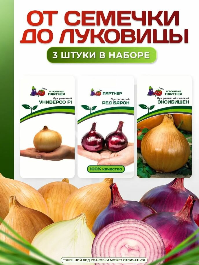 Семена набор: От семечки до луковицы - Эксибишен Ред Барон Универсо