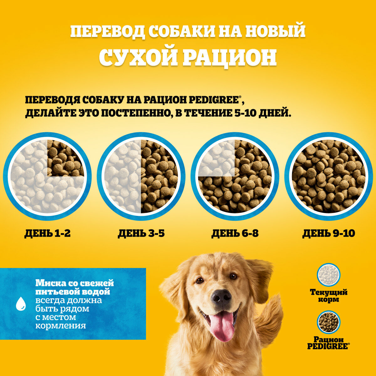Полнорационный сухой корм для взрослых собак всех пород Pedigree Vital Protection с говядиной, 2.2 кг - фото №9