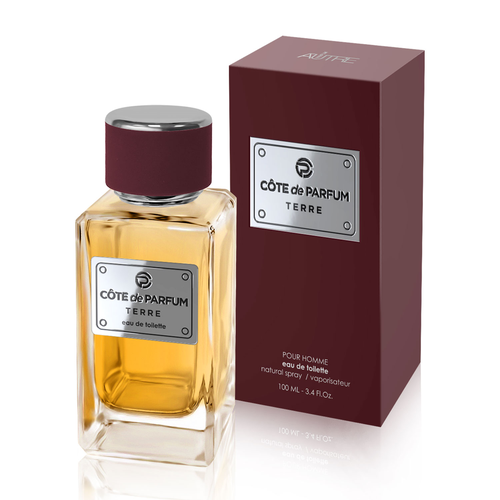 Art Parfum men Cote De Parfum - Terre Туалетная вода 100 мл. духи поли парфюм reserve platinum edt100ml версия egoistplat