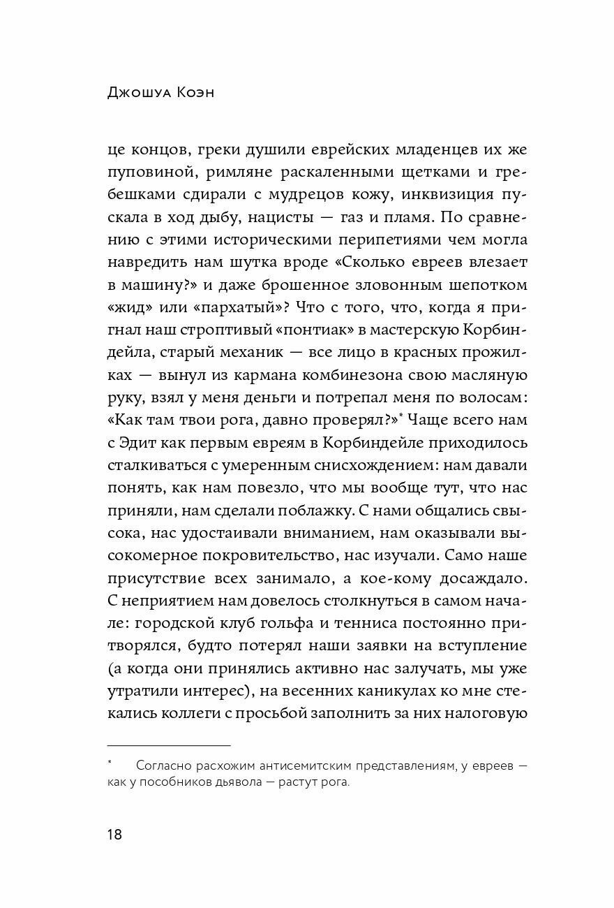 Нетаньяху. Отчет о незначительном и в конечном счете даже неважном эпизоде из жизни очень известной семьи: роман - фото №11