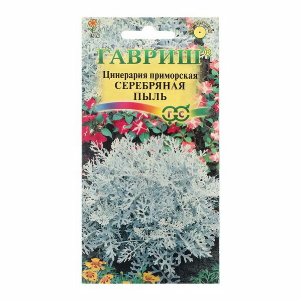 Семена цветов Цинерария приморская "Серебряная пыль", ц/п, 0.05 г, 4 шт.