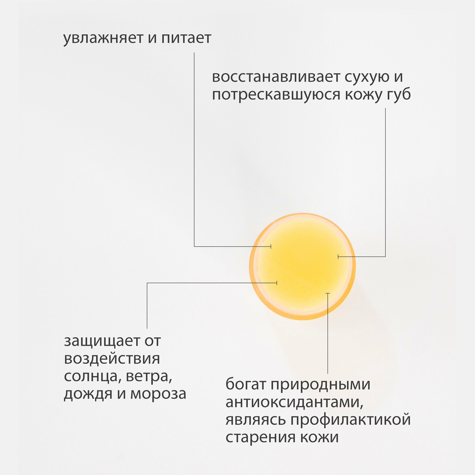 Картинки Увлажняющий бальзам для губ C-H Манго & Кориандр, органический, 5 г