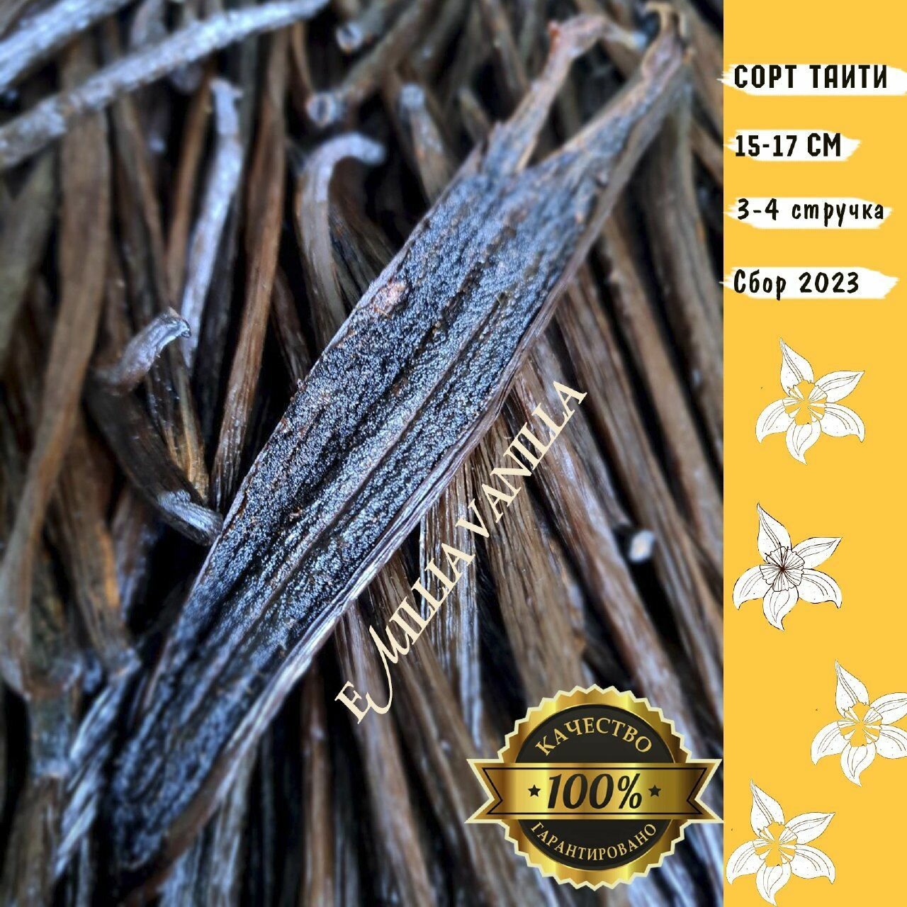 Ваниль в стручках сорт Tahiti Таити натуральная,10 гр, 3-4 стручка 15-17 см.