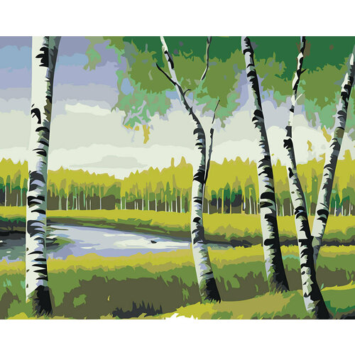 картина по номерам на холсте 40 50 см солнечный лес у реки раскраска на подрамнике пейзаж природа сосны ели рисование по номерам Картина по номерам Природа пейзаж с березами у реки