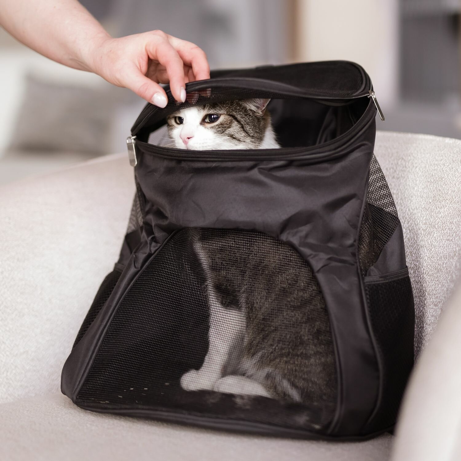 Рюкзак-переноска для животных, для кошек, для собак, "Не Один Дома" Carry, черный, 36х27х40 см