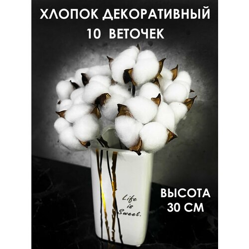 Хлопок сухоцвет для декора маленький белый букет цветов ветки новый год