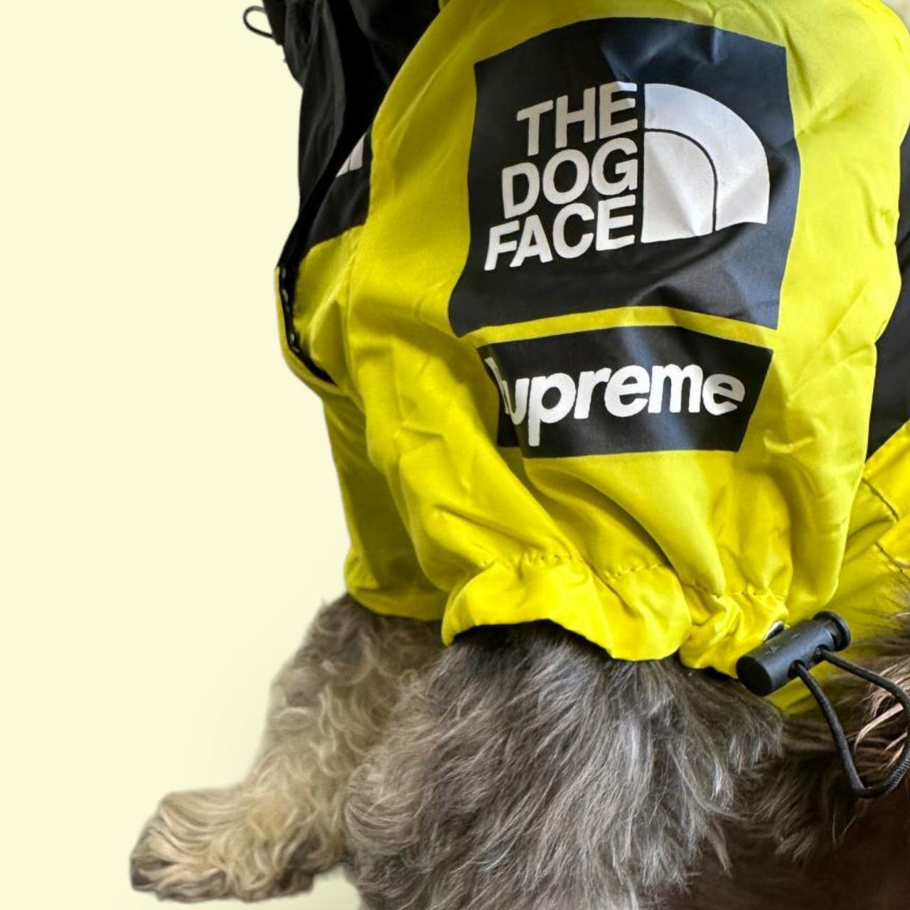 Куртка для собак и кошек THE DOG FACE водонепроницаемая размер XL - фотография № 7