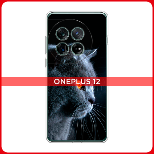 Силиконовый чехол на OnePlus 12 / Ван Плас 12 Благородный кот британец силиконовый чехол на oneplus 12 ван плас 12 рыжий кот в венке