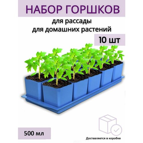 Горшки для рассады и цветов, горшок для цветов - 10 шт по 500 мл на общем поддоне, синие