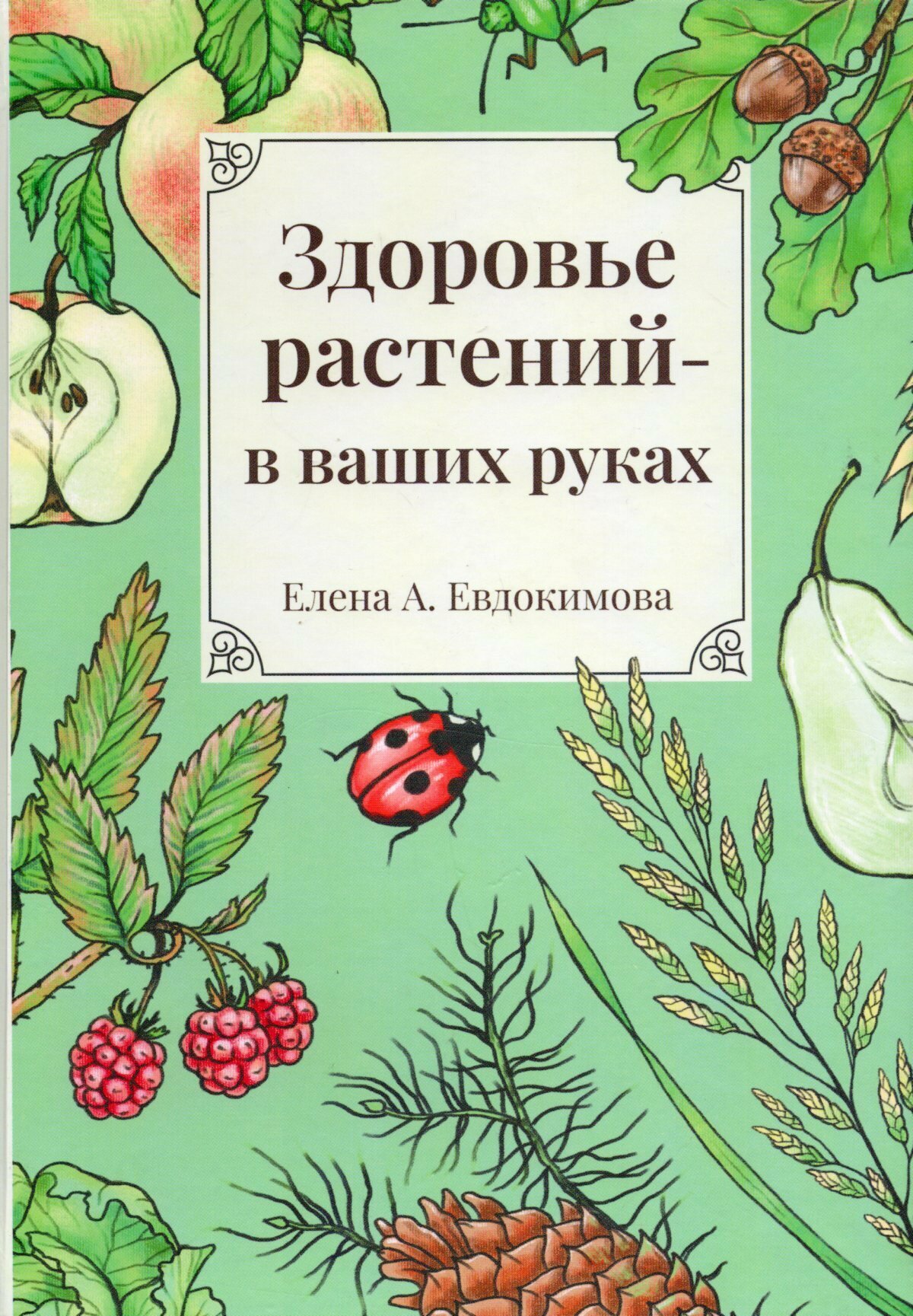 Здоровье растений в ваших руках - фото №7