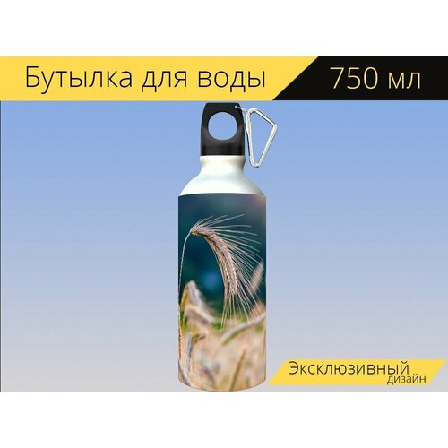 фото Бутылка фляга для воды "рожь, зерно, ржаное поле" 750 мл. с карабином и принтом lotsprints