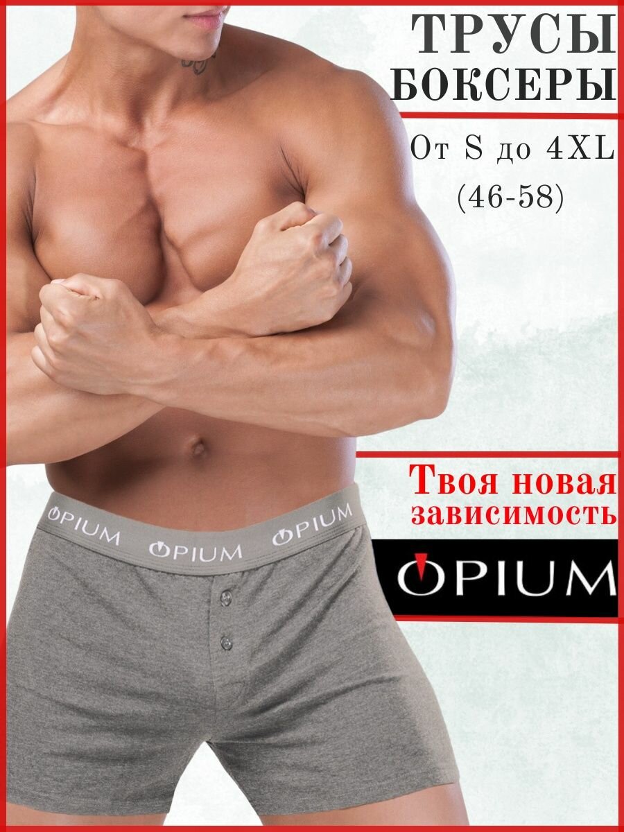 Трусы Opium, размер XL, серый
