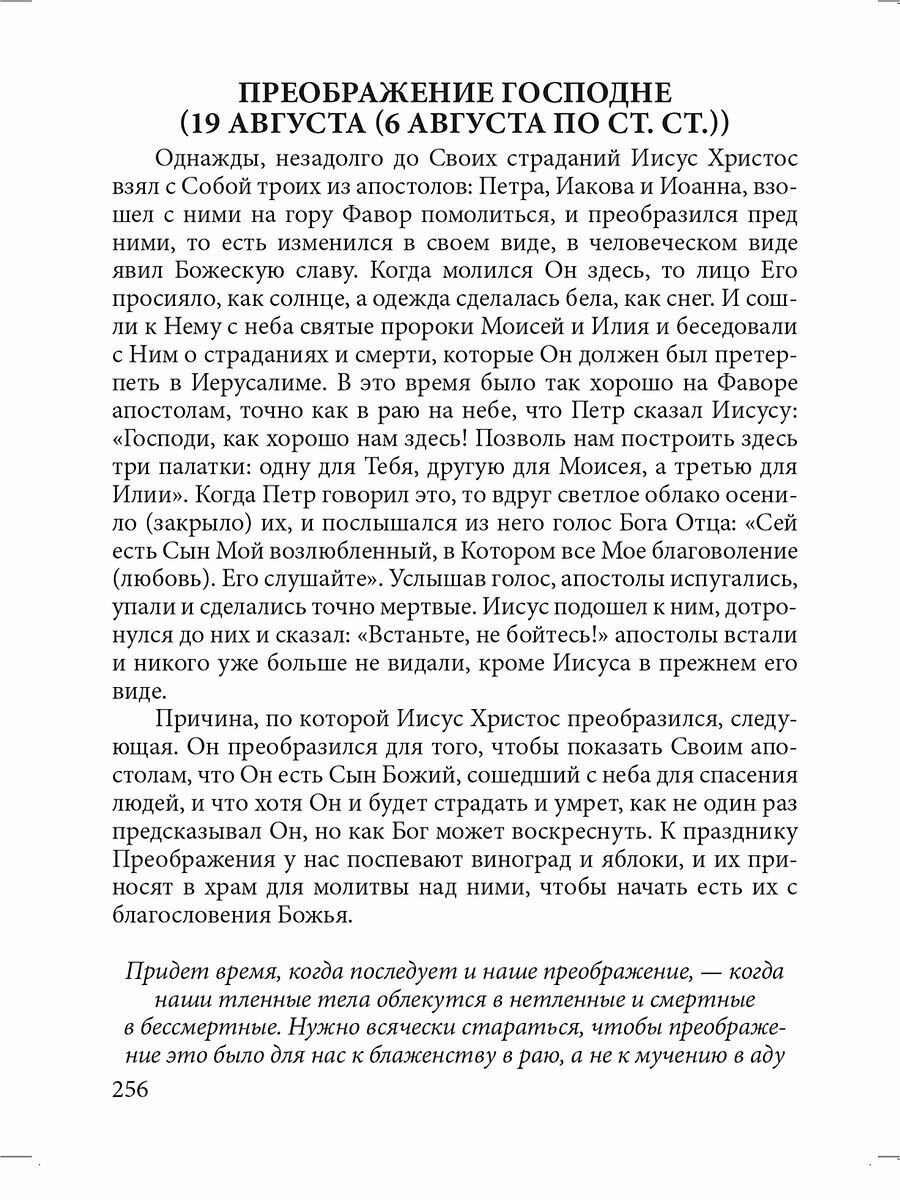 Книга Детская Библия (без автора) - фото №10
