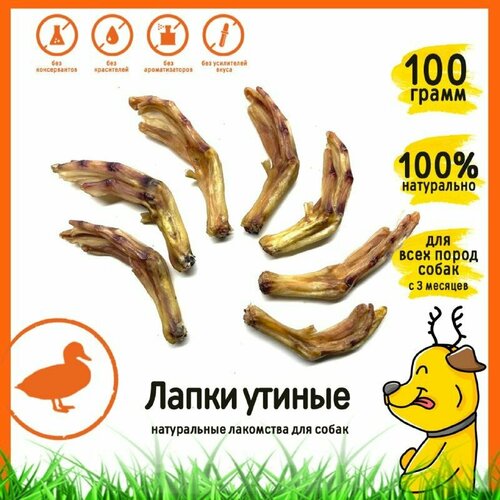 Лакомство для собак 