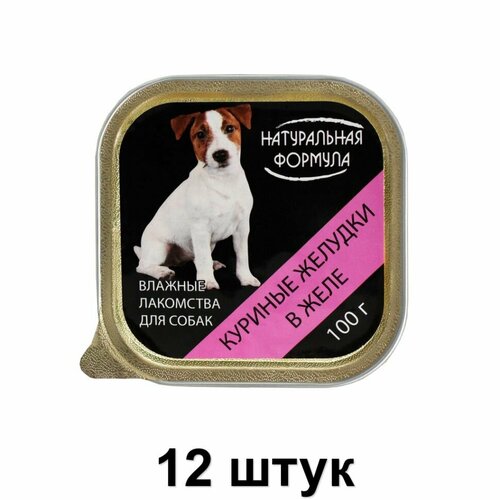 Натуральная формула Консервы для собак Куриные желудки в желе, 100 г, 12 шт