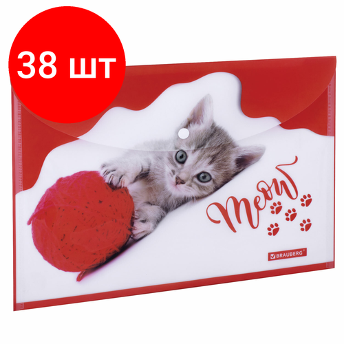 Комплект 38 шт, Папка-конверт с кнопкой BRAUBERG FUNNY CAT, А4, 160 мкм, цветная печать, 228038 папка конверт с кнопкой для документов