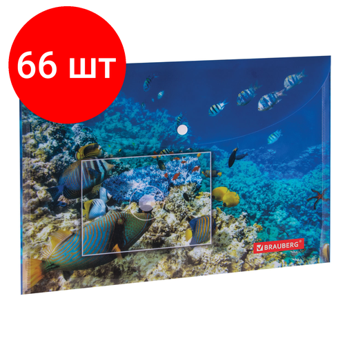 Комплект 66 шт, Папка-конверт с кнопкой BRAUBERG SEA WORLD, А4, 160 мкм, до 100 листов, цветная печать, 228041