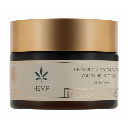 Ночной крем для омоложения и питания кожи лица SoulTree Hemp Repairing & Regenerating Youth Night Cream christina forever young ночной восстанавливающий крем для лица repairing night cream 50 мл